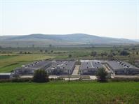 Ceragrim_s1